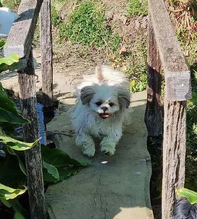 Le Relais De La Comte Gasthuis 4*