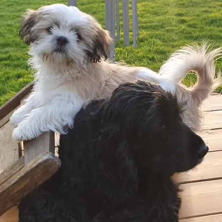 Le Relais De La Comté Portbail