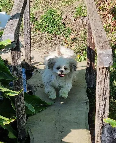 Le Relais De La Comté Maison d'hôtes 4*