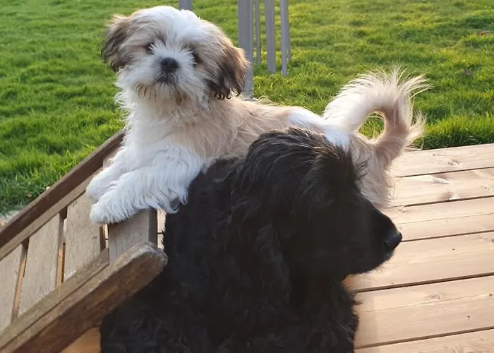 Le Relais De La Comte Portbail